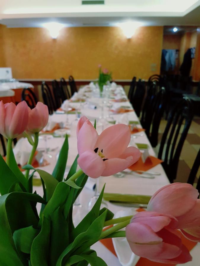 Albergo Ristorante Il Delfino Νοβάρα Εξωτερικό φωτογραφία